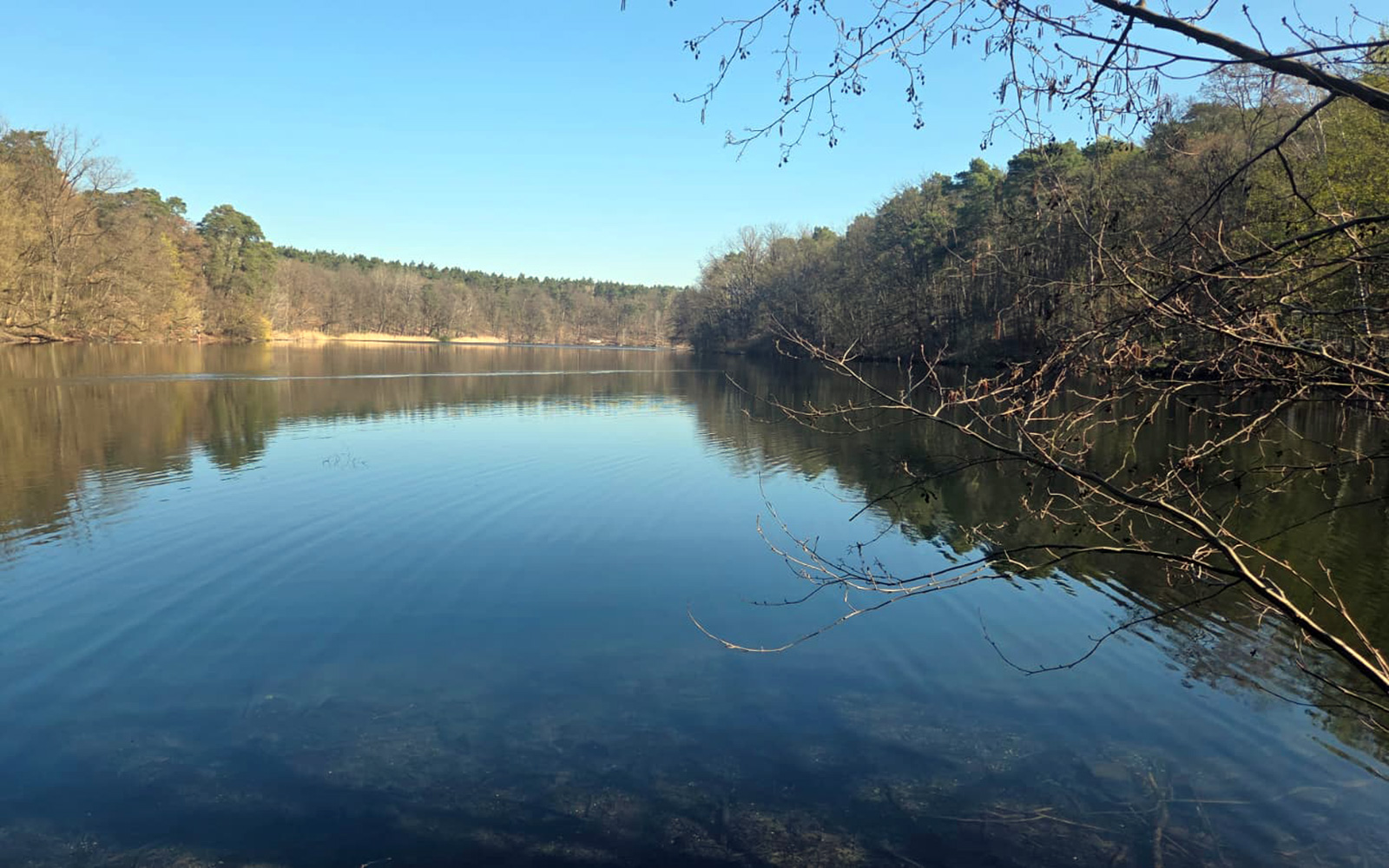 Fünf Mal um den Schlachtensee